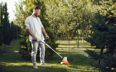 Expert Tips for Choosing Professional Landscaping Services